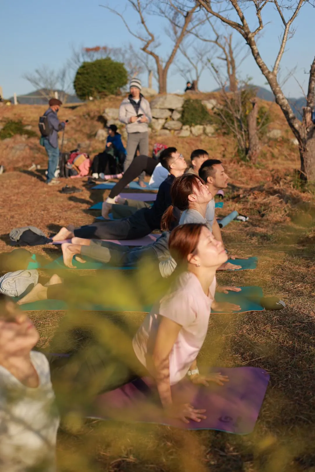 Healthcare Organization Programs