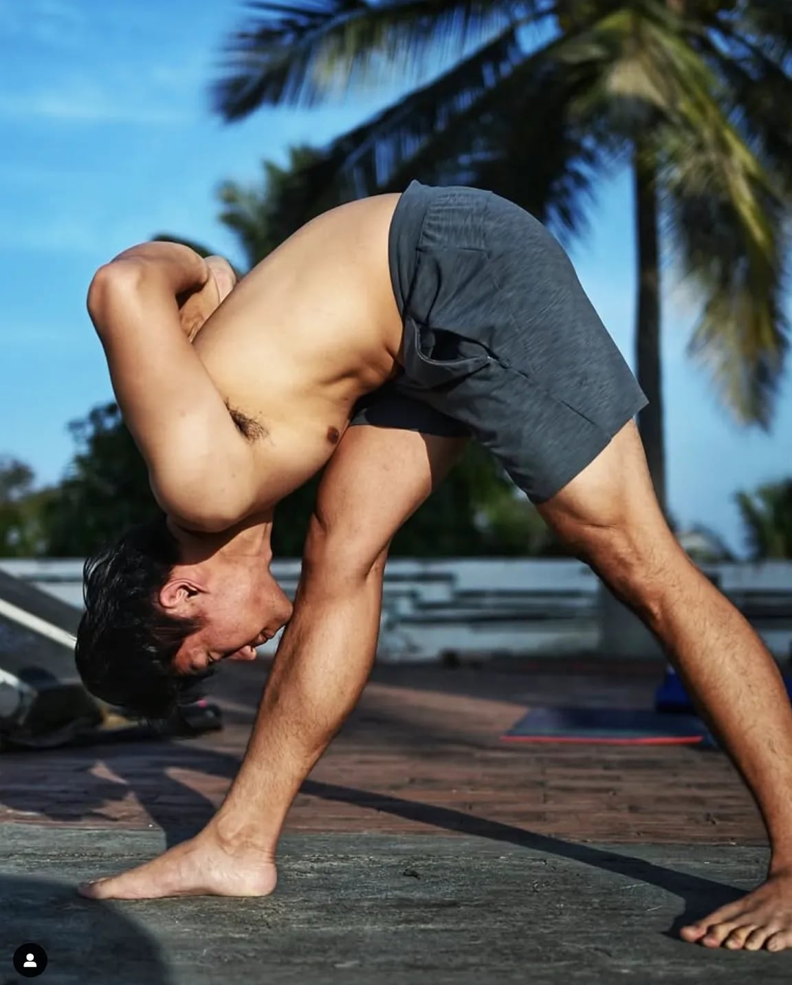 Mysore 之旅後的生活啟程：迎接新年，重返日常